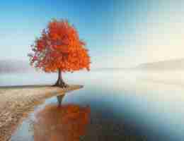 语﻿音‌识‍别‍教‍程﻿